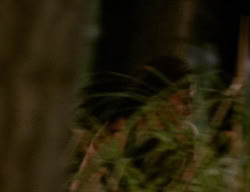 extant_XenaWarriorPrincess_3x06-TheDebt_2721