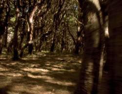 extant_XenaWarriorPrincess_3x06-TheDebt_2723