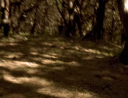 extant_XenaWarriorPrincess_3x06-TheDebt_2724
