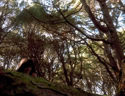 extant_XenaWarriorPrincess_3x06-TheDebt_2725