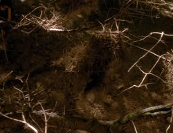 extant_XenaWarriorPrincess_3x06-TheDebt_2728