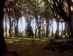 extant_XenaWarriorPrincess_3x06-TheDebt_2731