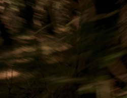 extant_XenaWarriorPrincess_3x06-TheDebt_2736