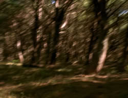 extant_XenaWarriorPrincess_3x06-TheDebt_2737