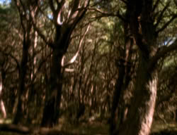 extant_XenaWarriorPrincess_3x06-TheDebt_2738