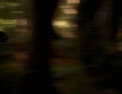 extant_XenaWarriorPrincess_3x06-TheDebt_2744