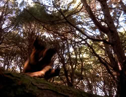 extant_XenaWarriorPrincess_3x06-TheDebt_2756