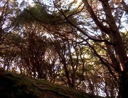 extant_XenaWarriorPrincess_3x06-TheDebt_2757