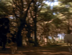 extant_XenaWarriorPrincess_3x06-TheDebt_2764