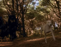 extant_XenaWarriorPrincess_3x06-TheDebt_2765