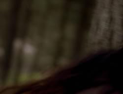 extant_XenaWarriorPrincess_3x06-TheDebt_2778