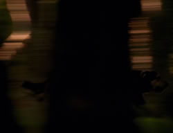 extant_XenaWarriorPrincess_3x06-TheDebt_2782