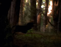 extant_XenaWarriorPrincess_3x06-TheDebt_2783
