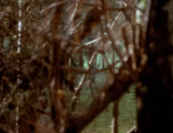 extant_XenaWarriorPrincess_3x06-TheDebt_2784