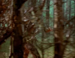 extant_XenaWarriorPrincess_3x06-TheDebt_2785