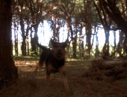 extant_XenaWarriorPrincess_3x06-TheDebt_2788