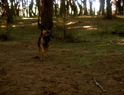 extant_XenaWarriorPrincess_3x06-TheDebt_2814