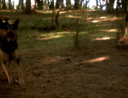 extant_XenaWarriorPrincess_3x06-TheDebt_2815
