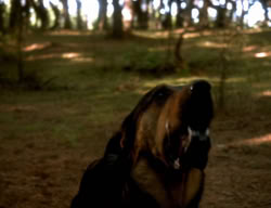 extant_XenaWarriorPrincess_3x06-TheDebt_2817