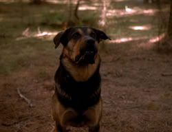 extant_XenaWarriorPrincess_3x06-TheDebt_2825