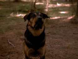 extant_XenaWarriorPrincess_3x06-TheDebt_2826
