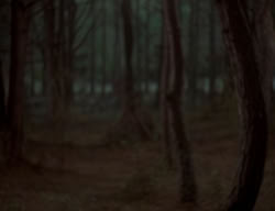 extant_XenaWarriorPrincess_3x06-TheDebt_2863