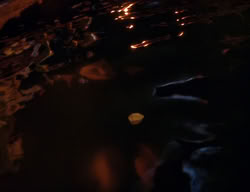 extant_XenaWarriorPrincess_3x06-TheDebt_2904