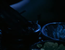 extant_XenaWarriorPrincess_3x06-TheDebt_3152
