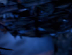 extant_XenaWarriorPrincess_3x06-TheDebt_3287