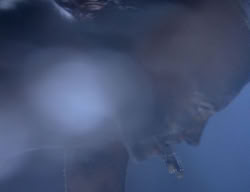extant_XenaWarriorPrincess_3x06-TheDebt_3374