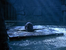 extant_XenaWarriorPrincess_3x07-TheDebtII_0168