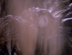 extant_XenaWarriorPrincess_3x07-TheDebtII_3120