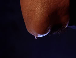 extant_XWP_3x08-TheKingOfAssassins_000244