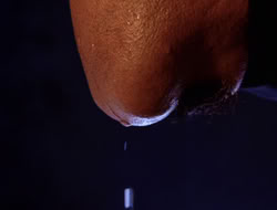 extant_XWP_3x08-TheKingOfAssassins_000245