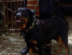 extant_XWP_3x08-TheKingOfAssassins_000875