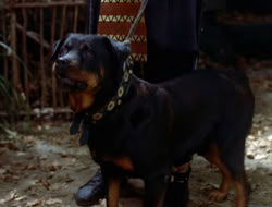 extant_XWP_3x08-TheKingOfAssassins_000876