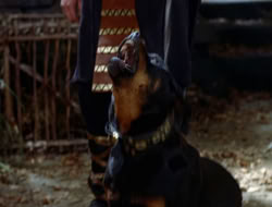 extant_XWP_3x08-TheKingOfAssassins_000877