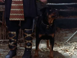 extant_XWP_3x08-TheKingOfAssassins_001093