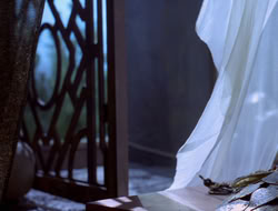 extant_XWP_3x08-TheKingOfAssassins_001278
