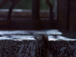 extant_XWP_3x08-TheKingOfAssassins_001287