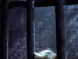 extant_XWP_3x08-TheKingOfAssassins_001604