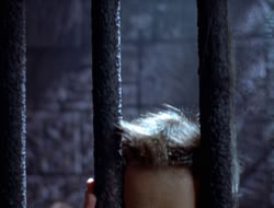 extant_XWP_3x08-TheKingOfAssassins_001605