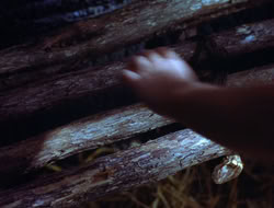 extant_XWP_3x08-TheKingOfAssassins_002199