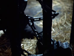 extant_XWP_3x08-TheKingOfAssassins_002954