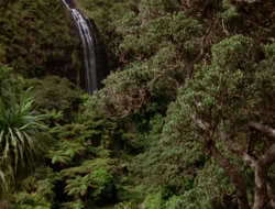 extant_XWP_3x09-WarriorPriestessTramp_001301