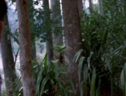 extant_XWP_3x09-WarriorPriestessTramp_001422