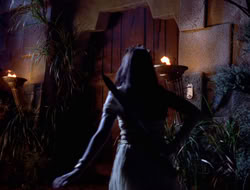 extant_XWP_3x09-WarriorPriestessTramp_003088