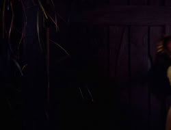 extant_XWP_3x09-WarriorPriestessTramp_003115