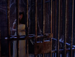 extant_XWP_3x09-WarriorPriestessTramp_003234