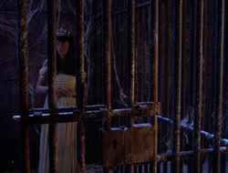 extant_XWP_3x09-WarriorPriestessTramp_003235